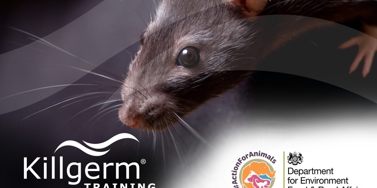 The UK government has backed a Bill banning the use of rodent glue traps for pest control