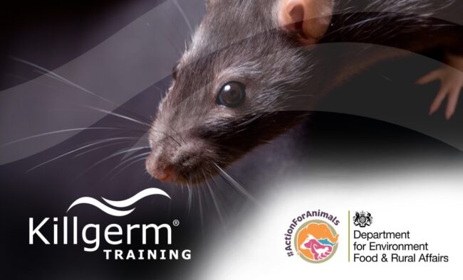 The UK government has backed a Bill banning the use of rodent glue traps for pest control
