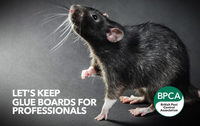 Let’s keep glue boards for professionals, says BPCA