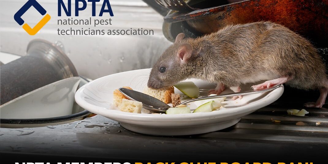 NPTA members show apathy to call to voice opinion on glue boards