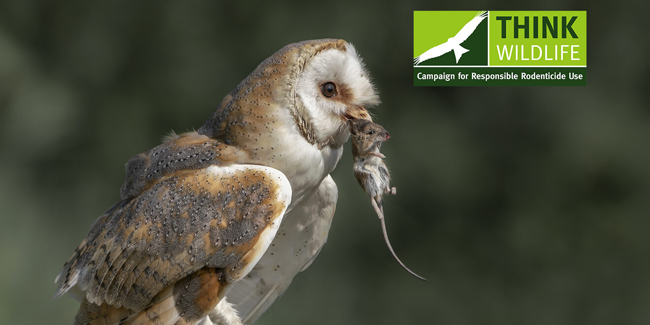 CRRU-KYI-DEC-2021-1320x800px