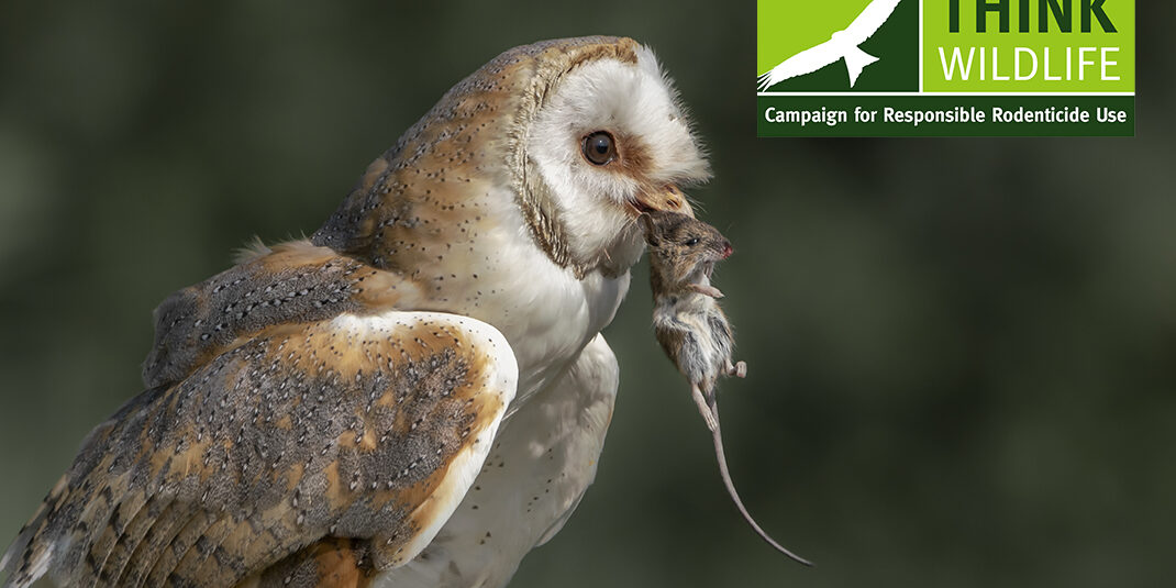 New rodenticide guidelines: Future availability of professional baits in users’ own hands