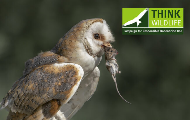 New rodenticide guidelines: Future availability of professional baits in users’ own hands