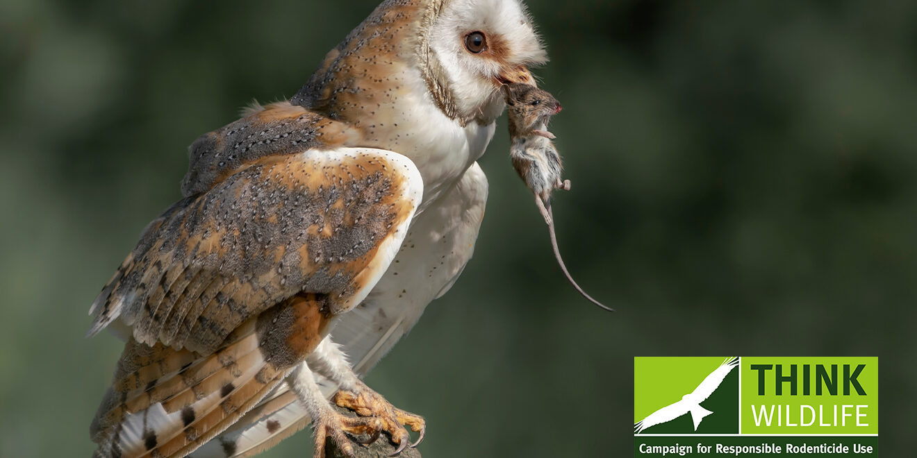 Could delinquent minority restrict rodent control options for responsible majority?