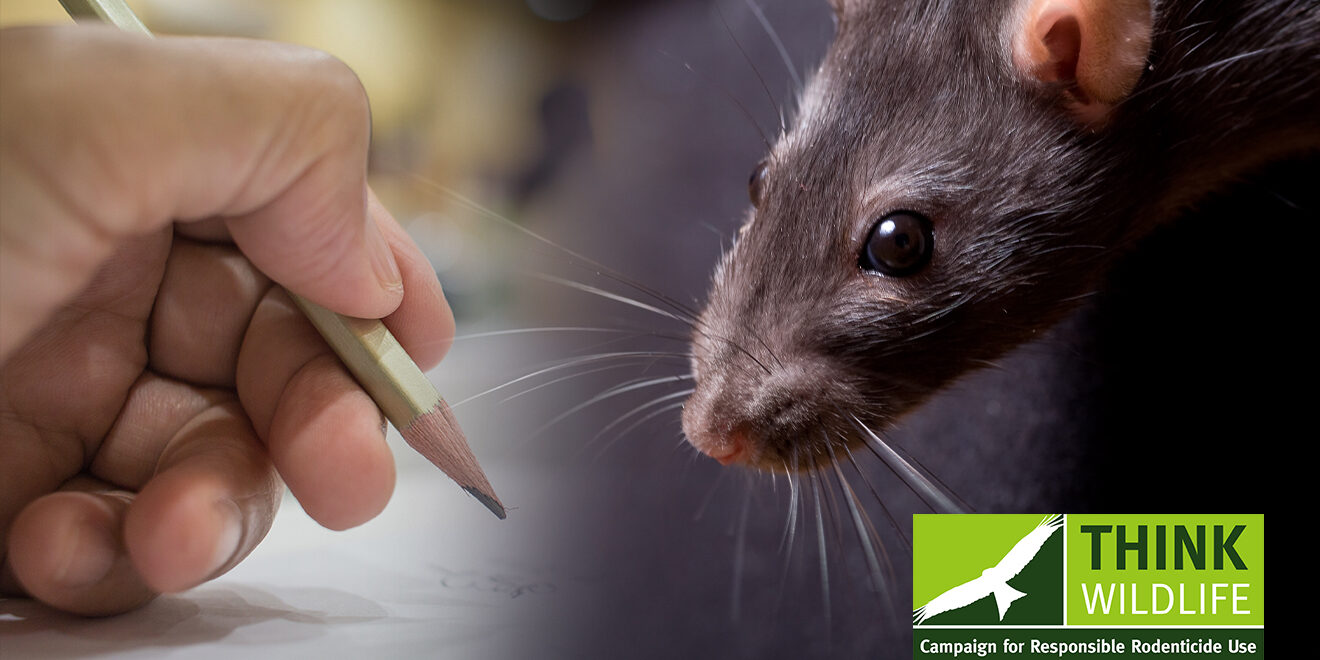 crru-kyi-oct-2022-1320x800px_1