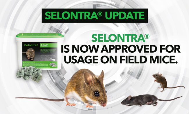 BASF’S SELONTRA® BECOMES THE ONLY PROFESSIONAL RODENTICIDE SUITABLE FOR TARGETING FIELD MICE, APODEMUS SYLVATICUS
