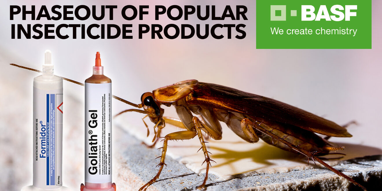 BASF-ANNOUNCES-PHASEOUT-OF-POPULAR-INSECTICIDE-PRODUCTS