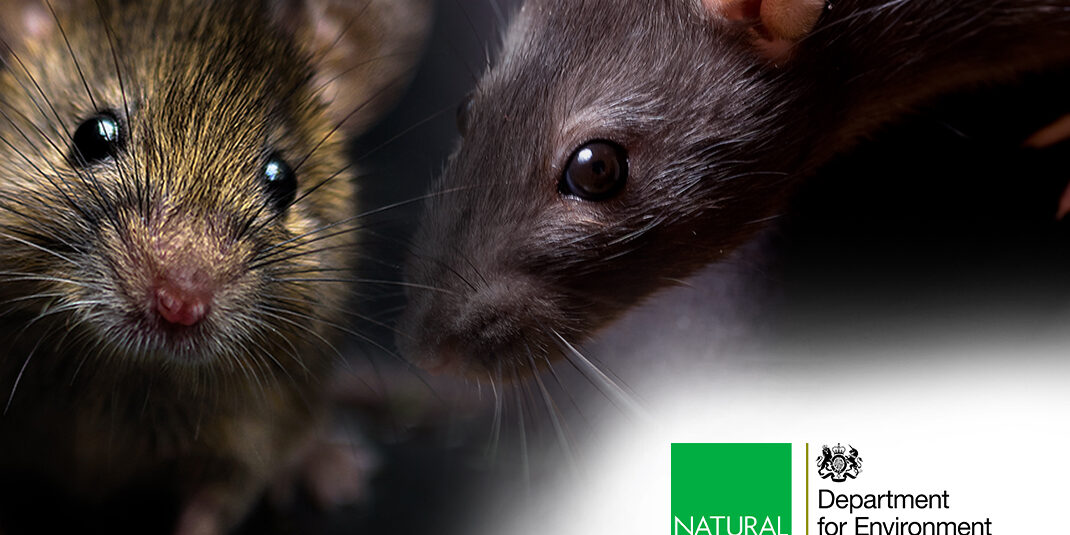 Key principles of the new licensing regime for use of Glue Traps in England