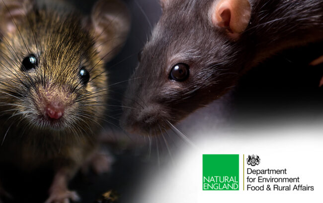 Key principles of the new licensing regime for use of Glue Traps in England