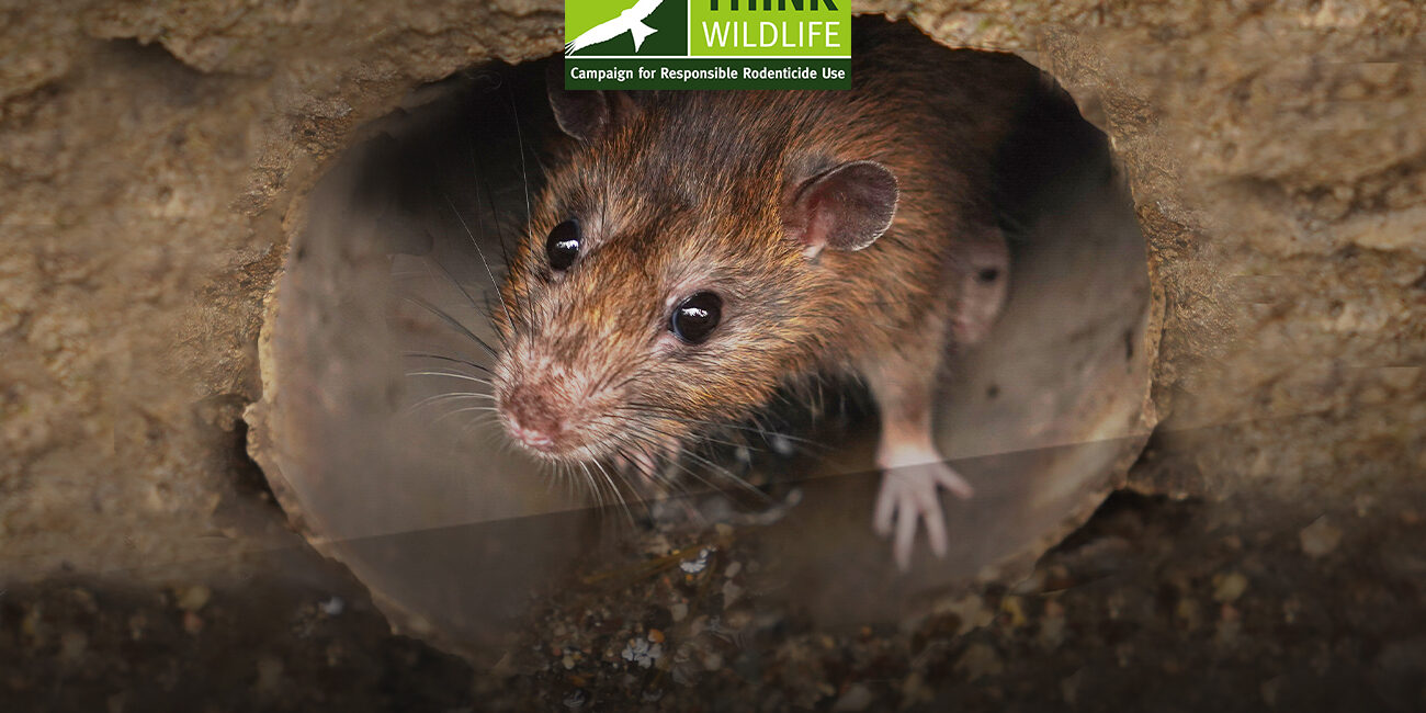 LABEL CHANGES SHOULD HAVE NOW BEEN MADE ON BROMADIOLONE AND DIFENACOUM PRODUCTS