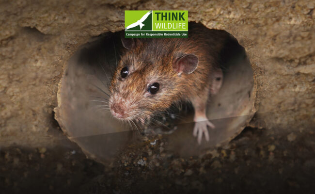 LABEL CHANGES SHOULD HAVE NOW BEEN MADE ON BROMADIOLONE AND DIFENACOUM PRODUCTS