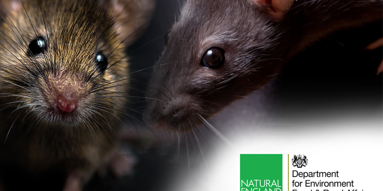 Proof of competence prior to sale of rodent glue boards from 31st July 2024 to any potential UK customers