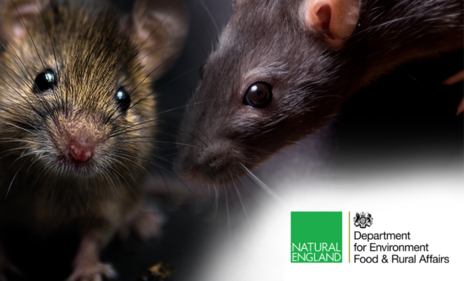 Proof of competence prior to sale of rodent glue boards from 31st July 2024 to any potential UK customers